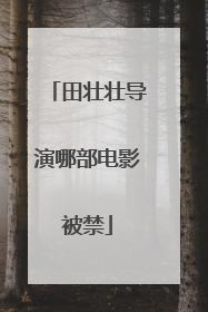 田壮壮导演哪部电影被禁