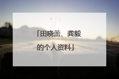 田晓蕾、龚毅的个人资料