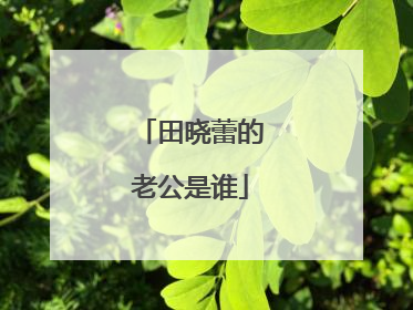 田晓蕾的老公是谁