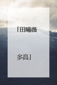 田曦薇多高