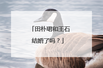 田朴珺和王石结婚了吗？