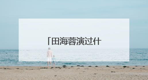 田海蓉演过什么电视剧？