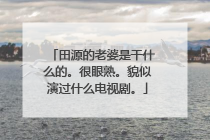 田源的老婆是干什么的。很眼熟。貌似演过什么电视剧。