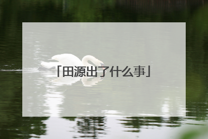 田源出了什么事