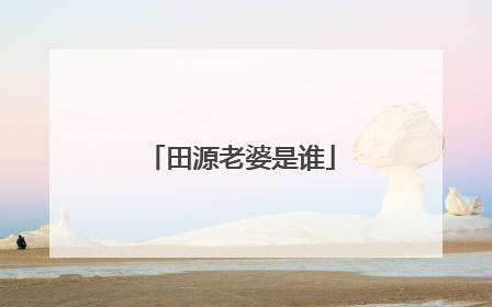 田源老婆是谁