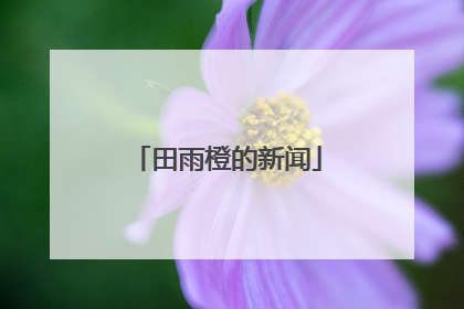 田雨橙的新闻