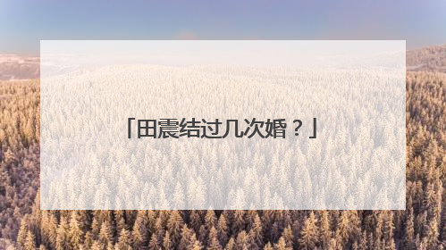 田震结过几次婚？