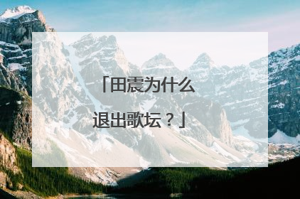 田震为什么退出歌坛？