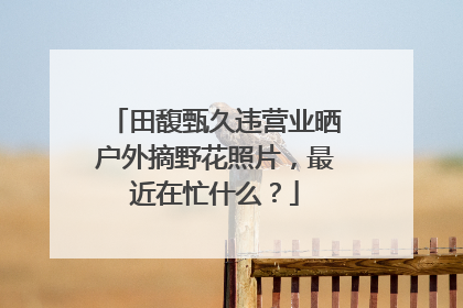 田馥甄久违营业晒户外摘野花照片，最近在忙什么？