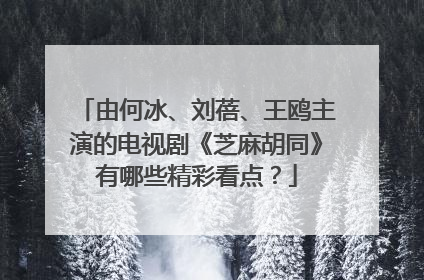 由何冰、刘蓓、王鸥主演的电视剧《芝麻胡同》有哪些精彩看点?