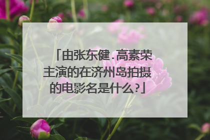 由张东健.高素荣主演的在济州岛拍摄的电影名是什么?