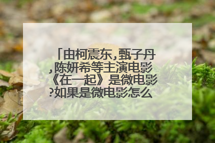 由柯震东,甄子丹,陈妍希等主演电影《在一起》是微电影?如果是微电影怎么还有好几集的