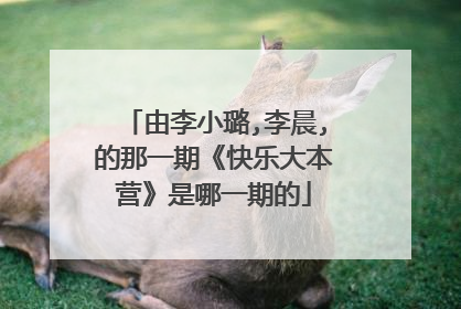 由李小璐,李晨,的那一期《快乐大本营》是哪一期的