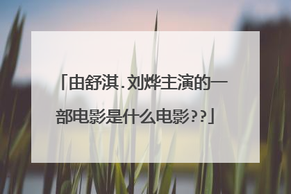 由舒淇.刘烨主演的一部电影是什么电影??