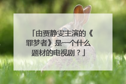 由贾静雯主演的《罪梦者》是一个什么题材的电视剧？