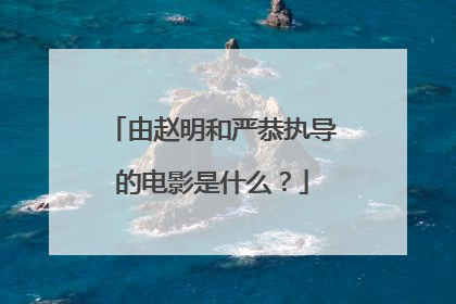 由赵明和严恭执导的电影是什么？