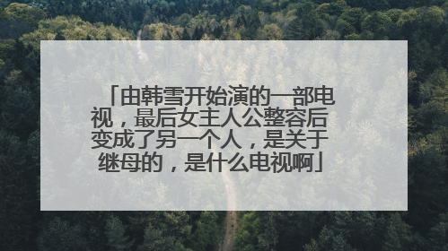 由韩雪开始演的一部电视，最后女主人公整容后变成了另一个人，是关于继母的，是什么电视啊