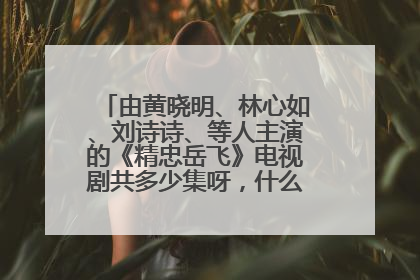 由黄晓明、林心如、刘诗诗、等人主演的《精忠岳飞》电视剧共多少集呀,什么时候开播,好看吗