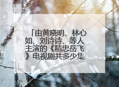 由黄晓明、林心如、刘诗诗、等人主演的《精忠岳飞》电视剧共多少集呀，什么时候开播，好看吗