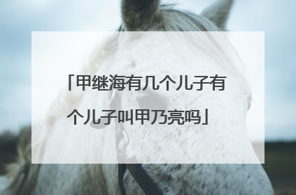 甲继海有几个儿子有个儿子叫甲乃亮吗