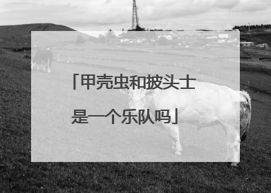 甲壳虫和披头士是一个乐队吗