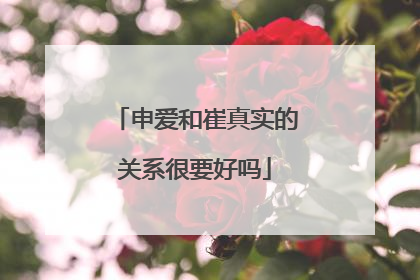 申爱和崔真实的关系很要好吗