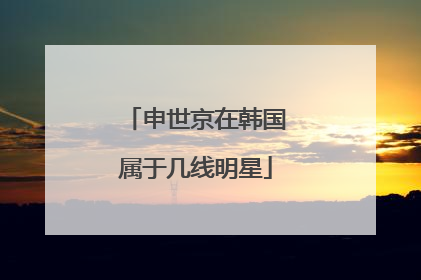 申世京在韩国属于几线明星