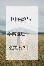 申东烨与李素拉是什么关系？