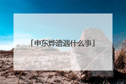 申东烨遭遇什么事