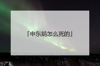 申东靖怎么死的