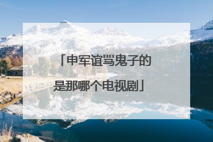 申军谊骂鬼子的是那哪个电视剧