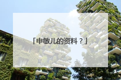 申敏儿的资料？