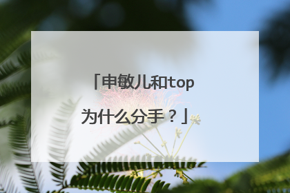 申敏儿和top为什么分手？