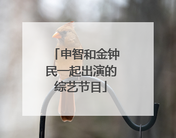 申智和金钟民一起出演的综艺节目