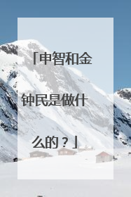 申智和金钟民是做什么的?