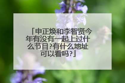 申正焕和李智贤今年有没有一起上过什么节目?有什么地址可以看吗?
