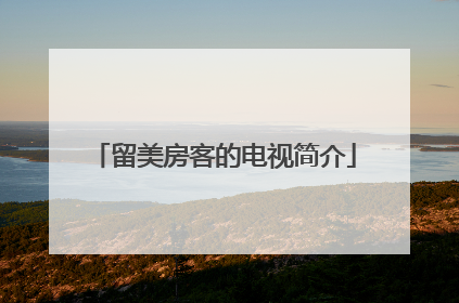 留美房客的电视简介