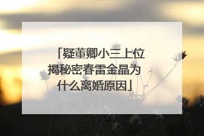 疑董卿小三上位揭秘密春雷金晶为什么离婚原因