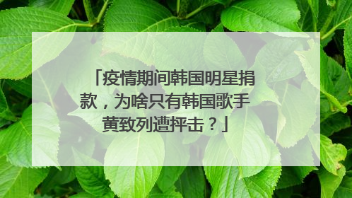 疫情期间韩国明星捐款，为啥只有韩国歌手黄致列遭抨击？