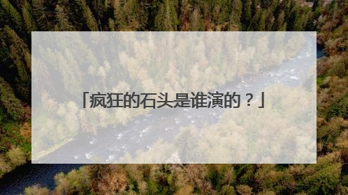疯狂的石头是谁演的？