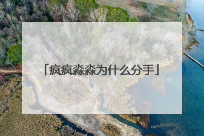 疯疯淼淼为什么分手