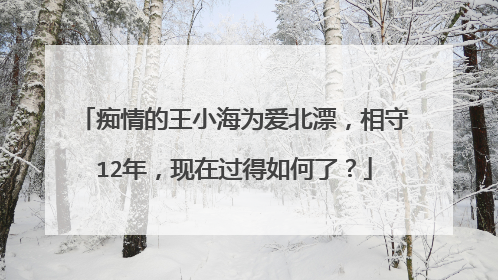 痴情的王小海为爱北漂,相守12年,现在过得如何了?