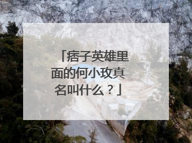 痞子英雄里面的何小玫真名叫什么?
