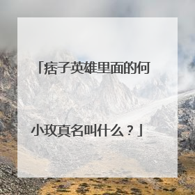 痞子英雄里面的何小玫真名叫什么?