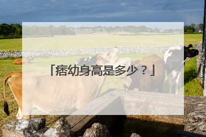 痞幼身高是多少？