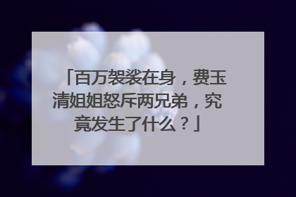 百万袈裟在身,费玉清姐姐怒斥两兄弟,究竟发生了什么?