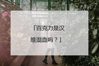 百克力是汉维混血吗？