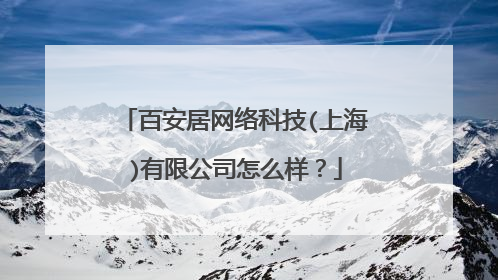 百安居网络科技(上海)有限公司怎么样？