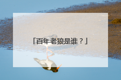 百年老狼是谁?