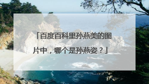 百度百科里孙燕美的图片中,哪个是孙燕姿?